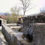 Danti Padronale