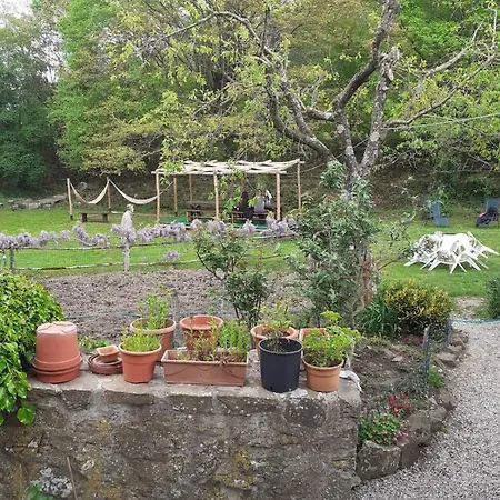 Danti Padronale סנטה פיורה