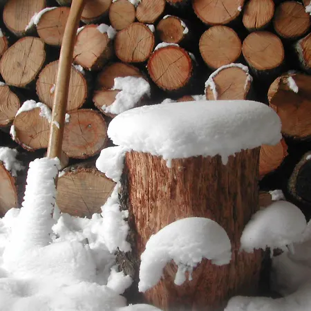 Danti Padronale בית נופש *